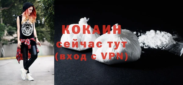 крисы Аркадак