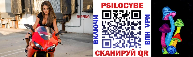 мега   Болгар  Галлюциногенные грибы мухоморы 